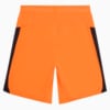 Изображение Puma Шорты FC Shakhtar Donetsk Home Shorts #2: Rickie Orange-PUMA Black