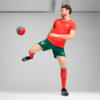 Image PUMA Camisa Portugal Home 2025 Jogador Masculina #2