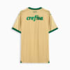 Image PUMA Camisa Palmeiras Jogador THIRD 2024 #1