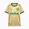 Image PUMA Camisa Palmeiras Jogador THIRD 2024 #0