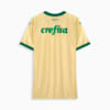 Image PUMA Camisa Palmeiras Torcedor THIRD 2024 #1
