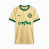 Image PUMA Camisa Palmeiras Torcedor THIRD 2024 #0
