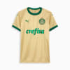 Image PUMA Camisa Palmeiras Torcedor THIRD 2024 Feminina #1