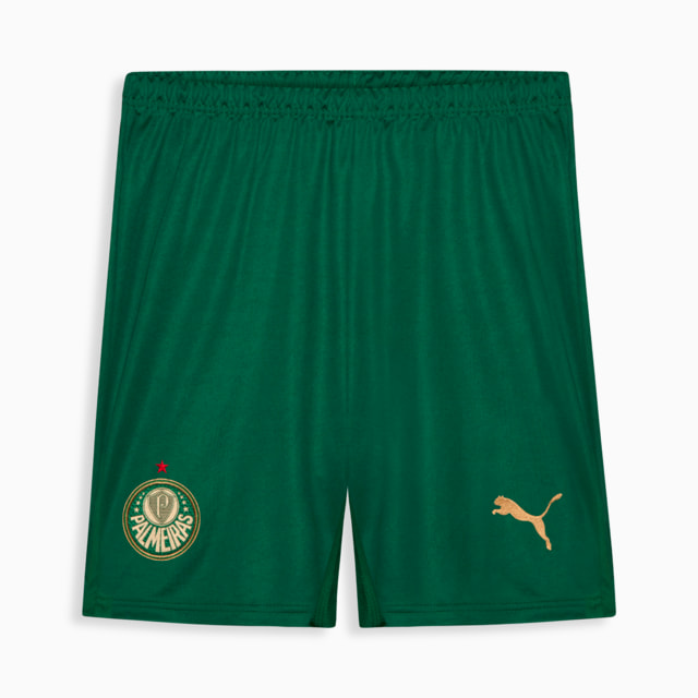 Image PUMA Shorts Palmeiras Torcedor THIRD 2024