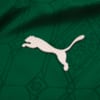 Image PUMA Camisa Palmeiras Jogador HOME 2025 #9