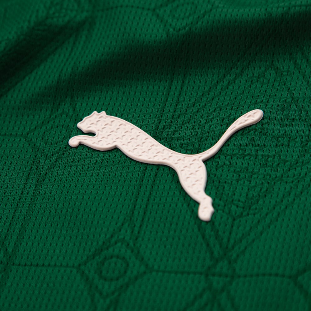 Image PUMA Camisa Palmeiras Jogador HOME 2025 #8