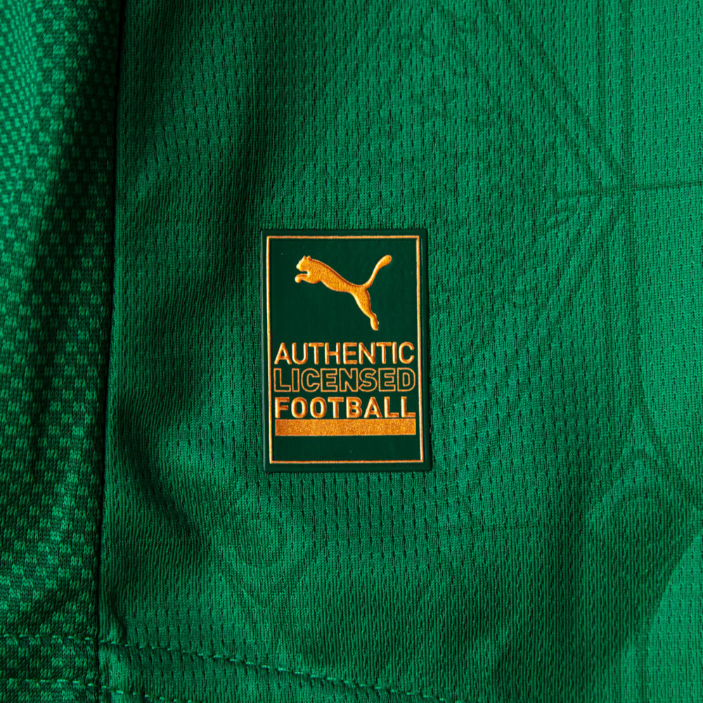Image PUMA Camisa Palmeiras Jogador HOME 2025 #9