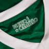 Image PUMA Camisa Palmeiras Jogador HOME 2025 #11