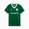 Image PUMA Camisa Palmeiras Jogador HOME 2025 #6