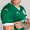 Image PUMA Camisa Palmeiras Jogador HOME 2025 #2