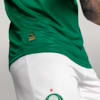 Image PUMA Camisa Palmeiras Jogador HOME 2025 #4
