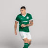 Image PUMA Camisa Palmeiras Jogador HOME 2025 #5