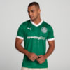 Image PUMA Camisa Palmeiras HOME Torcedor 2025 #2