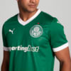 Image PUMA Camisa Palmeiras HOME Torcedor 2025 #3
