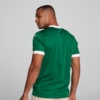 Image PUMA Camisa Palmeiras HOME Torcedor 2025 #4