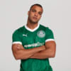 Image PUMA Camisa Palmeiras HOME Torcedor 2025 #5