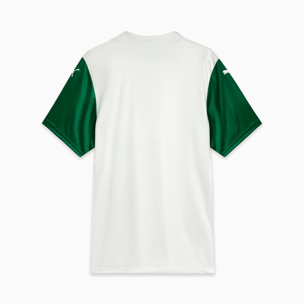 Image PUMA Camisa Palmeiras Jogador AWAY 2025 #6