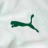 Image PUMA Camisa Palmeiras Jogador AWAY 2025 #9
