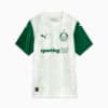 Image PUMA Camisa Palmeiras Jogador AWAY 2025 #6