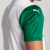 Image PUMA Camisa Palmeiras Jogador AWAY 2025 #2