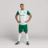 Image PUMA Camisa Palmeiras Jogador AWAY 2025 #4