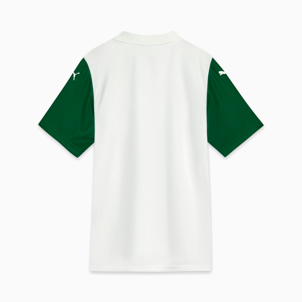 Image PUMA Camisa Palmeiras Torcedor AWAY 2025 #6