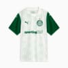 Image PUMA Camisa Palmeiras Torcedor AWAY 2025 #6