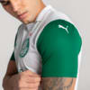 Image PUMA Camisa Palmeiras Torcedor AWAY 2025 #3