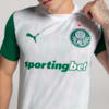 Image PUMA Camisa Palmeiras Torcedor AWAY 2025 #4