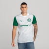 Image PUMA Camisa Palmeiras Torcedor AWAY 2025 #5