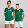 Image PUMA Camisa Palmeiras Jogadora HOME 2025 Feminina #5
