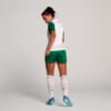 Image PUMA Camisa Palmeiras Jogadora AWAY 2025 Feminina #4