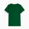Image PUMA Camisa Palmeiras Torcedora HOME 2025 Feminina #7