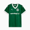Image PUMA Camisa Palmeiras Torcedora HOME 2025 Feminina #6