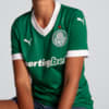 Image PUMA Camisa Palmeiras Torcedora HOME 2025 Feminina #2