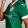 Image PUMA Camisa Palmeiras Torcedora HOME 2025 Feminina #4
