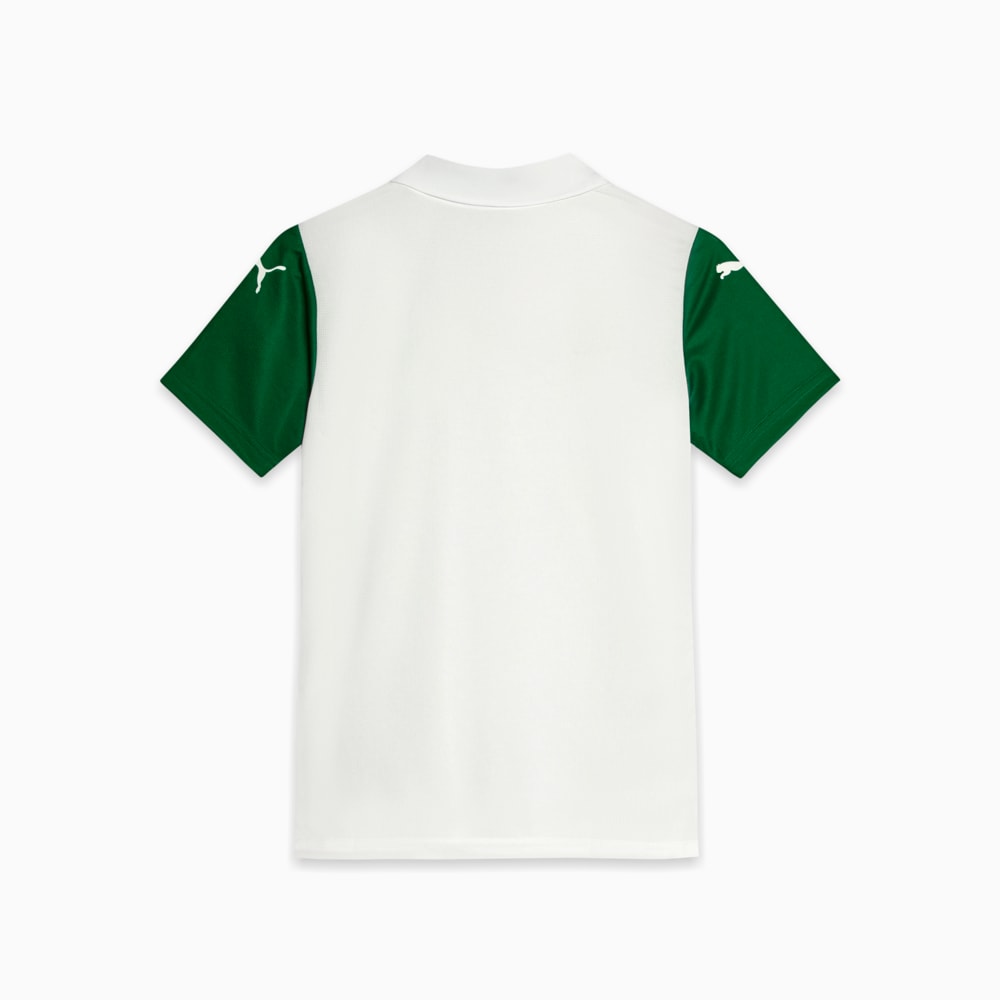 Image PUMA Camisa Palmeiras Torcedor AWAY 2025 Juvenil #2