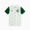 Image PUMA Camisa Palmeiras Torcedor AWAY 2025 Juvenil #1
