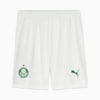 Image PUMA Shorts Palmeiras Jogador HOME 2025 #6