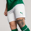Image PUMA Shorts Palmeiras Jogador HOME 2025 #3
