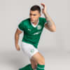 Image PUMA Shorts Palmeiras Jogador HOME 2025 #5