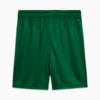 Image PUMA Shorts Palmeiras Jogador AWAY 2025 #7