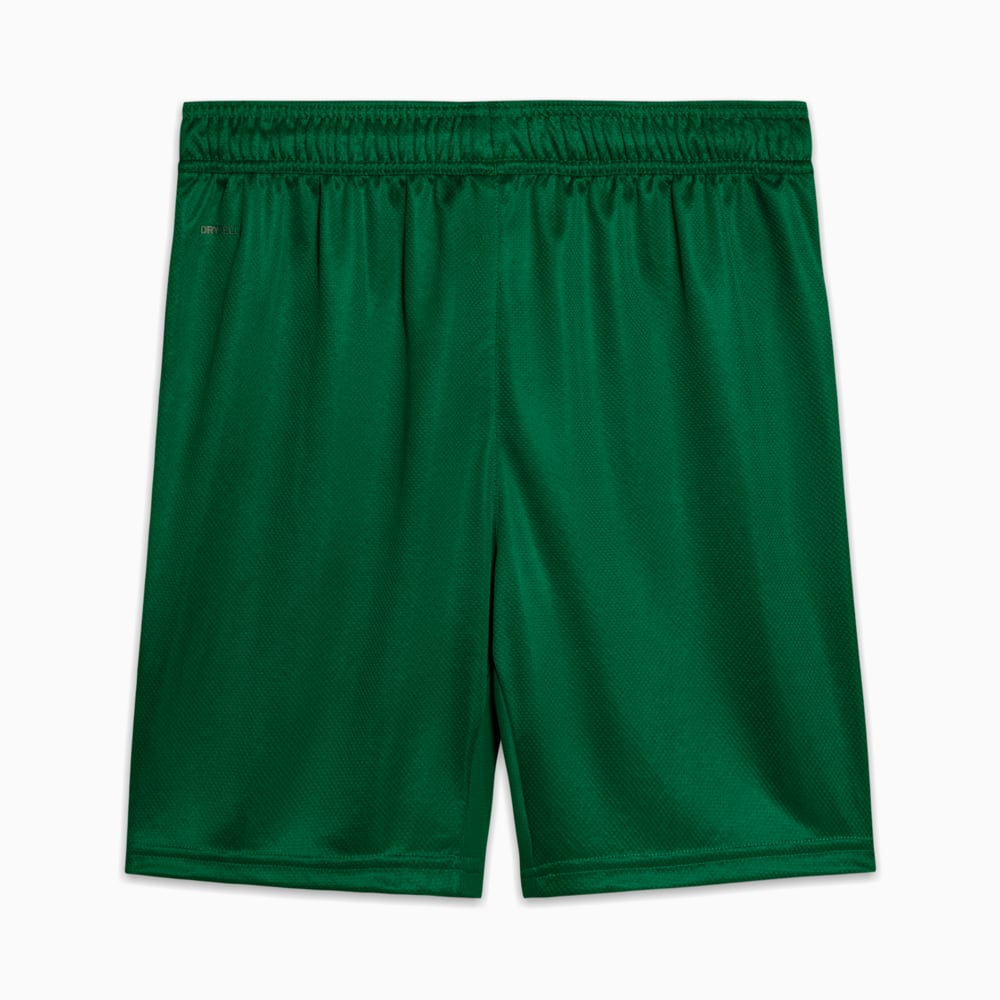 Image PUMA Shorts Palmeiras Jogador AWAY 2025 #6
