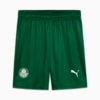 Image PUMA Shorts Palmeiras Jogador AWAY 2025 #6