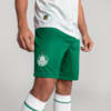 Image PUMA Shorts Palmeiras Jogador AWAY 2025 #1