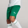 Image PUMA Shorts Palmeiras Jogador AWAY 2025 #2