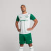 Image PUMA Shorts Palmeiras Jogador AWAY 2025 #3