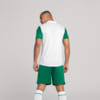 Image PUMA Shorts Palmeiras Jogador AWAY 2025 #4