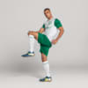 Image PUMA Shorts Palmeiras Jogador AWAY 2025 #5