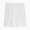 Image PUMA Shorts Palmeiras Torcedor HOME 2025 #7